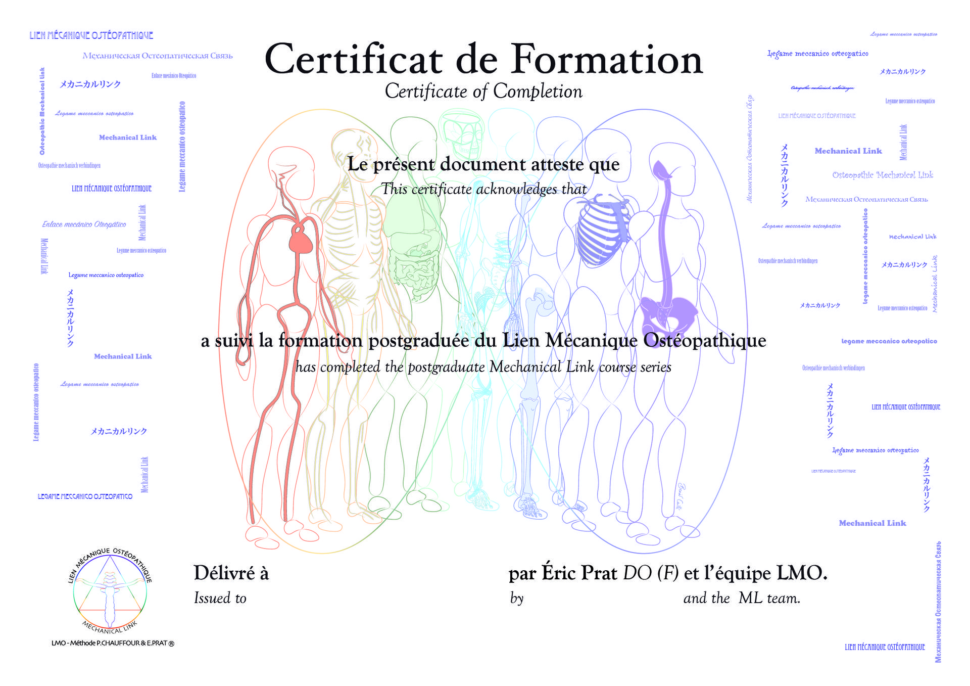 Le Lien Mécanique Ostéopathique Le-Lien-Mecanique-